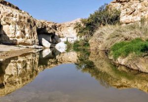 עין ירקעם: טבילה קרירה בנווה מדבר